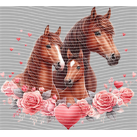 Valentine's Day-QRJ  5843